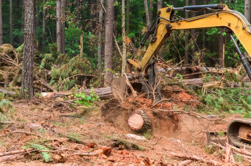 Ashland City TN land clearing equipment working on a property